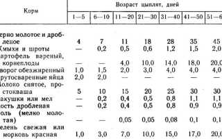 Всё о курятина