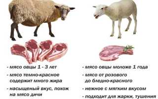 Как выбрать баранину без специфического запаха?