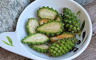 20 рецептов очень вкусного варенья из сосновых шишек