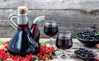 4 простых рецепта, как сделать вино из ягод в домашних условиях