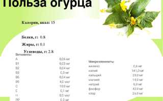 Cколько калорий в огурце свежем?
