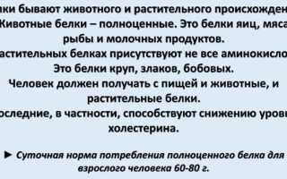 Аминокислоты незаменимые и заменимые. что это такое, сколько нужно для организма человека, таблица в пище