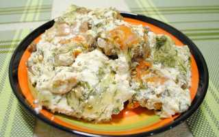 Бесконечное разнообразие вкусов: курица, тушеная с овощами (фото + видео)