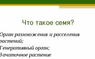 Плод. строение плода. классификация плодов. сочные и сухие плоды