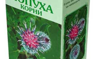 Лопух целебные свойства и правила применения, какие болезни лечит