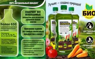 Как использовать удобрение «хлорелла»